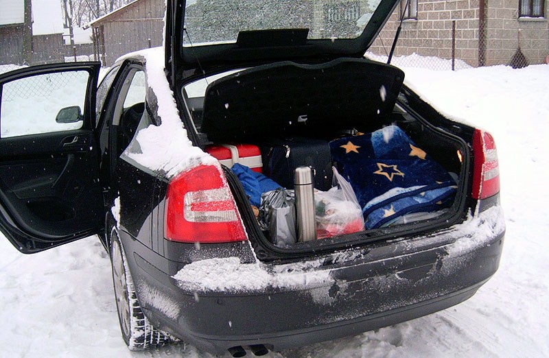 Фото автомобиля Skoda Octavia 2 (багажник)